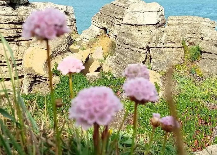 Apartment Ti Neves - Peniche