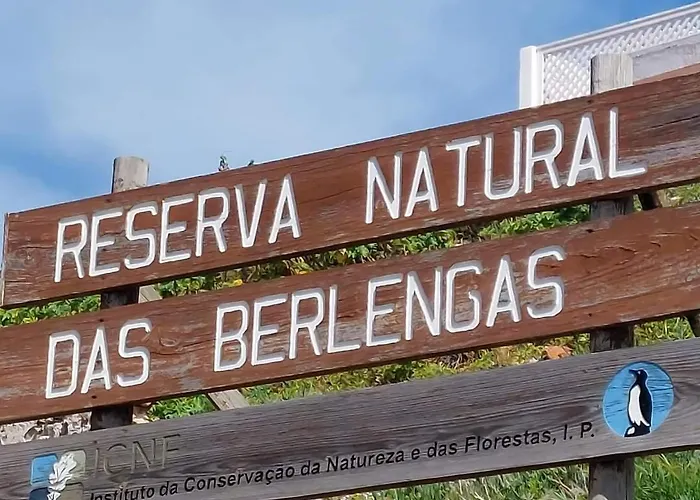 Ti Neves - Apartment Peniche