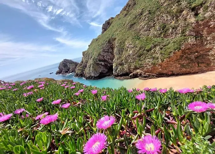 Apartment Ti Neves - Peniche