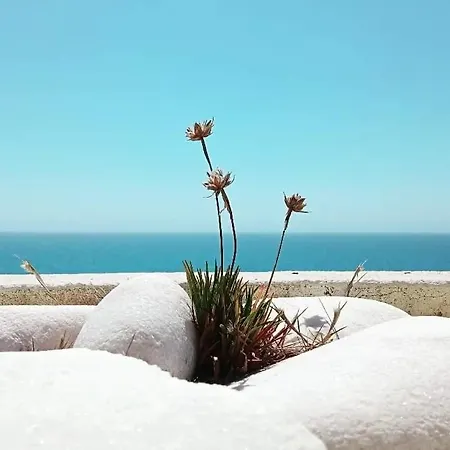 Ti Neves - Lejlighed *