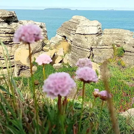Lejlighed Ti Neves - Peniche