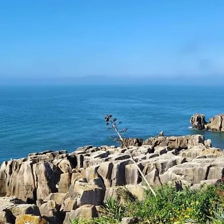 Ti Neves - Lejlighed *