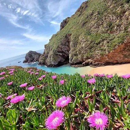 Lejlighed Ti Neves - Peniche