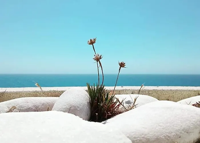 Ti Neves - Apartament *